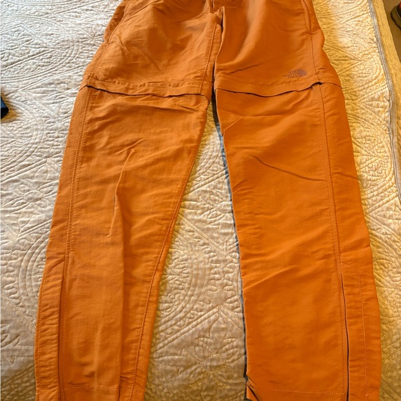 The North Face Other - The North Face Men's Rust Cargo Pants
